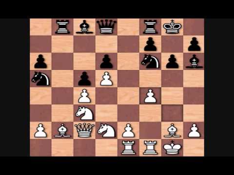 Mikhail Botvinnik vs Jan Hein Donner, 1958 Wageningen Caltex