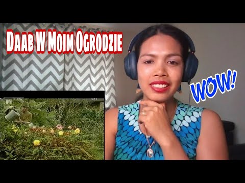 Its MyrnaG REACTS TO Daab W Moim Ogrodzie