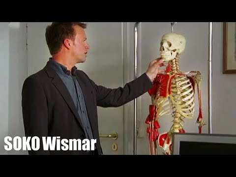 ᴴᴰ SOKO Wismar  Staffel 4 Folge 16 - Nebenwirkungen