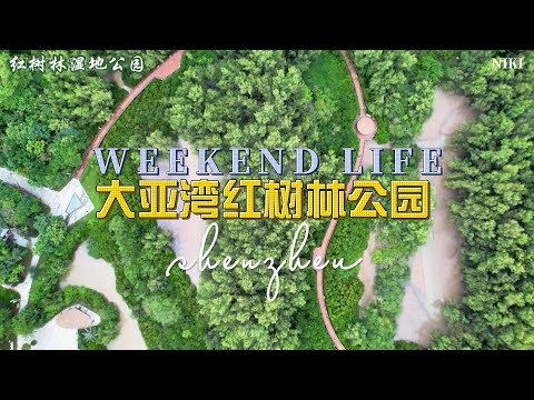 大亞灣紅樹林濕地公園是國家4A級景區，免費對所有人開放，環境優美，綠植繁茂，白鷺翩翩起舞