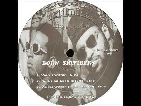 Born Sirvibers - Voices Within