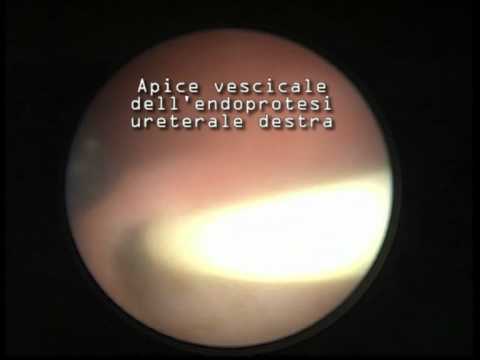Paolo Piana-3