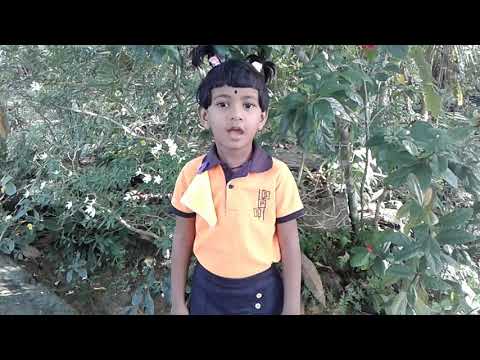 Onna male oya namely nela waren ඔන්න මලේ ඔය නාමල නෙලා වරෙන්