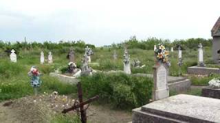 preview picture of video 'Banater Schwaben  Keglewitschhausen Friedhof'