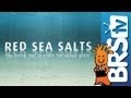 Red Sea aquarium salt mix demo - Tips on making ...