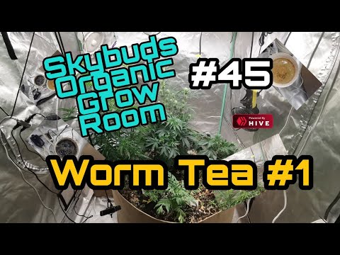 Skybuds Organic Grow Room : 5x5 #45 - Making Worm tea Part 1