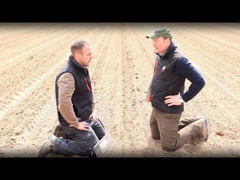 KWS Mais-Blog 2019 - Teil 2 (Aussaat der Sortendemo)