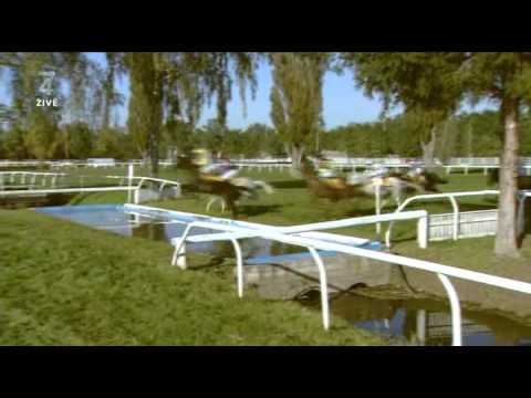 Velka Pardubice 2010