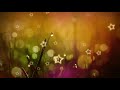 Aasan Nahin Yahan WhatsApp Status Arijit Singh Aashiqui 2