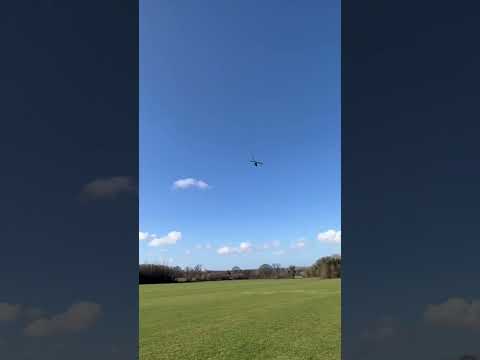 Imposter at the patch | Chopper Time