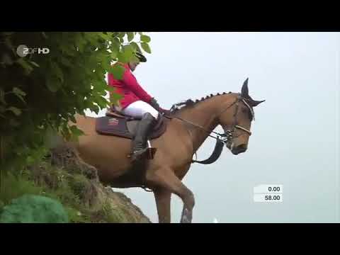 Pius Schwizer - Ulysse - Hamburg Spring-Derby 2013