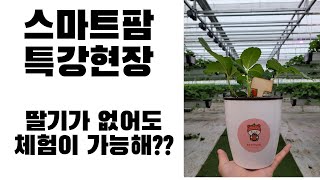 포천딸기힐링팜 스마트팜 내 특강!!  화분키트만들기
