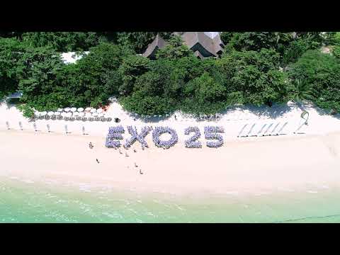 EXO25 Beach Logo Formation