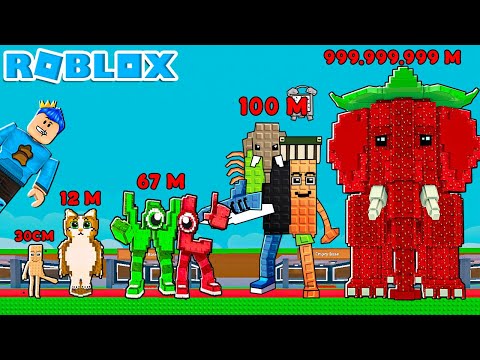 SAMMY TERNYATA BOHONG!! INI UKURAN SEBENARNYA DARI KARAKTER STEAL A BRAINROT DI ROBLOX! BESAR BANGET