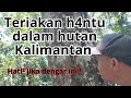 Seram Suara Teriakan Dalam Hutan Kalimantan Hutankalimantan Hutanrimba