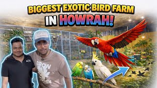 Download lagu Biggest Exotic Bird Farm in Howrah | Must Watch |@ShirinExoticFarm mp3