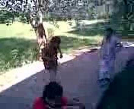 PINCHE BATO LOCO Y UN BAILARIN DE DURANGUENSES