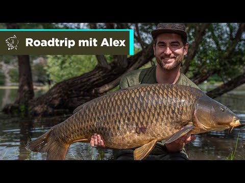 Karpfenangeln - 4 Wochen durch Frankreich