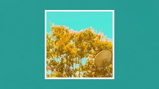I Don't Know Music Video