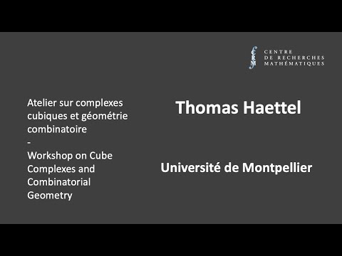 Thomas Haettel: Helly graphs and injective metric spaces IV.