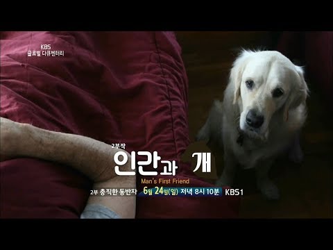 180624 글로벌다큐멘터리 예고 ㅣ KBS방송