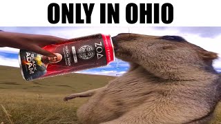 Cover art for Only in ohio part 2