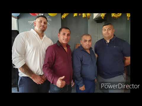 Gipsy amax doncaster 2019( rodav mange)