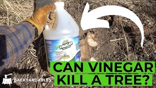 Can Vinegar Kill A Tree?