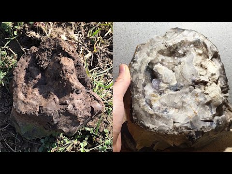 Spitzenfund - Dieser Feuerstein hat es in sich!