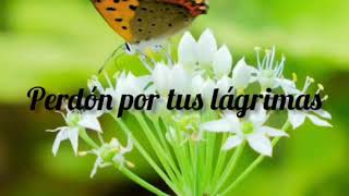 Perdón Por Tus Lágrimas (LOS  YONICS)con letra