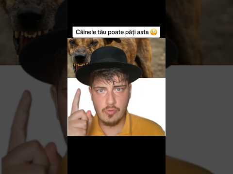 Câinele tău poate păți asta 😳