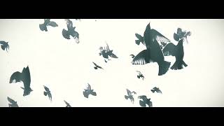 - 【VY1】アルビノ【カバー】