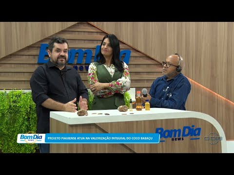 Projeto piauiense atua na valorização integral do Coco Babaçu 27 02 2023