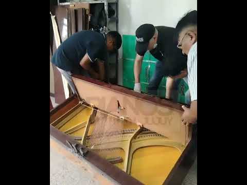 Mantenimiento Completo para Piano de Escuela en Palpalá, Jujuy. 