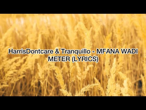 {Lyrics}HarrisDontcare & Tranquillo - MFANA WADIMETER} - Havoc legure sa