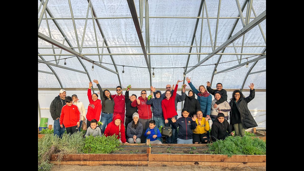 Healthy Living Program