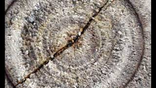 David de maria   Relojes de arena