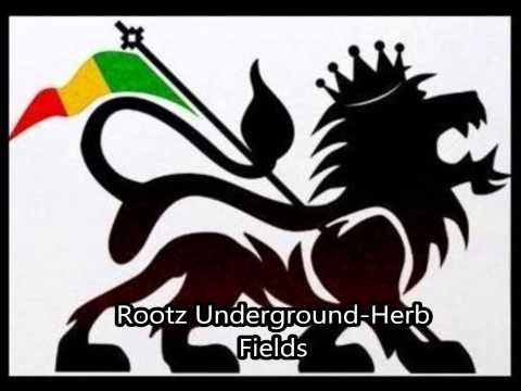 Rootz Underground - Herb Fields