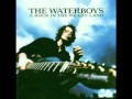 The Waterboys - Let It Happen 