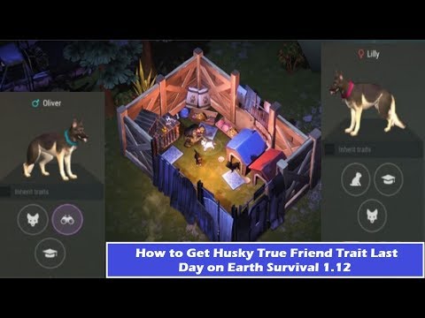 How to Get True Friend Trait Last Day on Earth Survival 1.12 Video