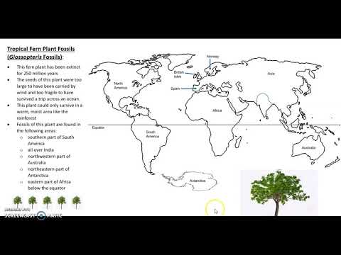 Reconstructing Pangea Instructions