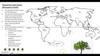 reconstructing pangea instructions