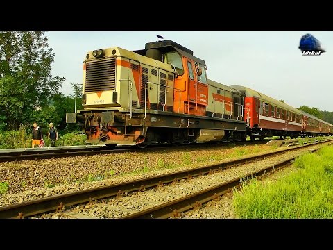 Torpila 82-0446-3 cu/with R3074 Oradea - Cluj Napoca in Bratca - 07 September 2014