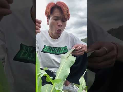 2 Brothers Fails #122🎬More watch, 😀More laugh and 😝Funny.