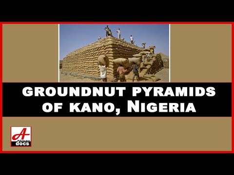 What happened to the Nigerian kano groundnut pyramid – #ObehiPodcast