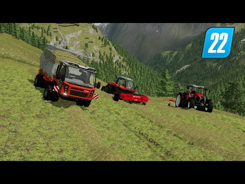 (LS22) Bergbauern beim Heuen in Tirol          [60FPS]