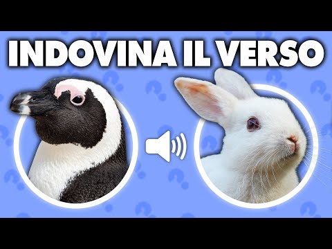 Indovina l'Animale dal Verso🔊 Quiz Animali