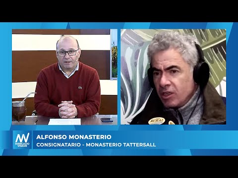 Alfonso Monasterio - Consignatario -MV