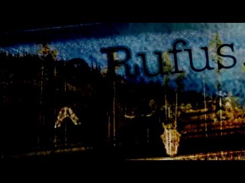 This is Kevin - to Rufus