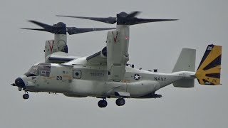 F-35C”VFA-147”&CMV-22”VRM-30”展示飛行　岩国フレンドシップデー2026
